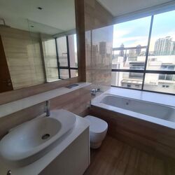 Treasure On Balmoral (D10), Apartment #471822021
